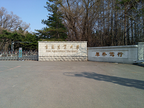 &#29233;&#20307;&#32946;&#23448;&#32593;